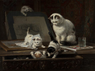 Dordrechts Museum toont voorloper van populaire kattenfilmpjes