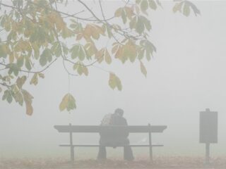 Onderzoek: link tussen muzikaliteit en depressie