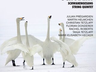 Schubert - Schwanengesang & String Quintet