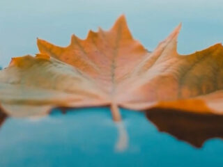 Zen in één minuut: Samuel Barber - Agnus Dei