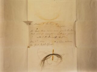 Vreemde uitkomst DNA-onderzoek: Beethoven niet muzikaal