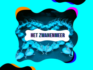 Grootste Zwanenmeer ter wereld komt naar Nederland