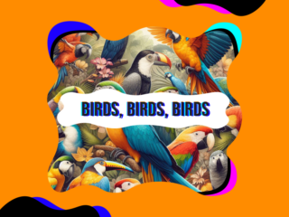 Hoe vogels de muziek inspireren