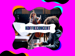 Wat is de contrabas?