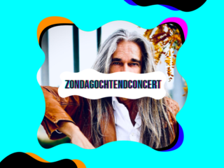 De pianist met de lange haren