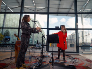 Honingbeer en Show Pony: dromerige viool-ambient in geluidswerelden