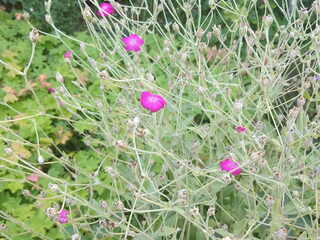 De Volkomen Ongeordende Tip 400 Van De 21e Eeuw