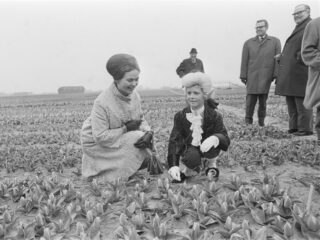 De parelende opnames van pianist Ingrid Haebler