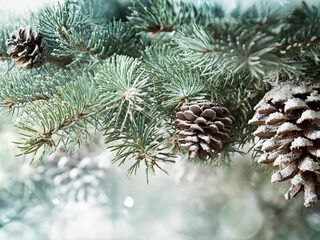 Spotifylijst: een klassieke kerst