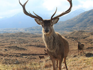 Beluister de Klassieke Top 400 2020