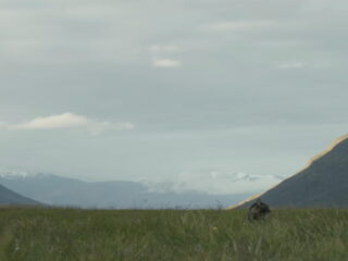 Vrije Geluiden: IJslandse scores