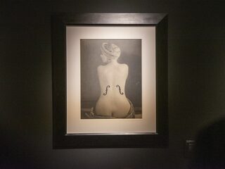 Foto Le violon d’Ingres geveild voor recordbedrag