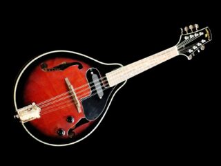 Mandoline instrument van het jaar in Duitsland