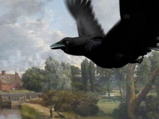 Dit is hoe kunst in Kröller Müller verweven is met de natuur