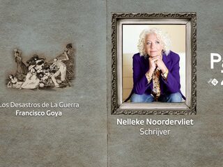 Het culturele landschap van Nelleke Noordervliet