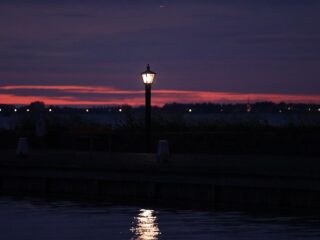 Bekijk de Focus studienacht met Carine Lacor