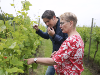Het effect van muziek op planten