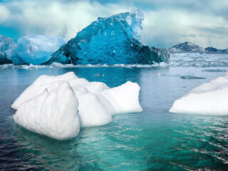 Uitstervende soorten in nieuw stuk John Luther Adams