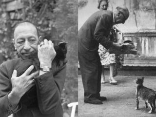 Componisten en hun bijzondere liefde voor dieren