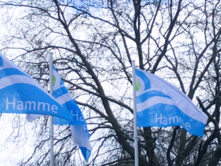 Hamme wil Matthäus Passion-dorp van België worden