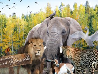 Podium Klassiek 8 januari