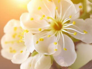 Wat is... Goede Vrijdag?