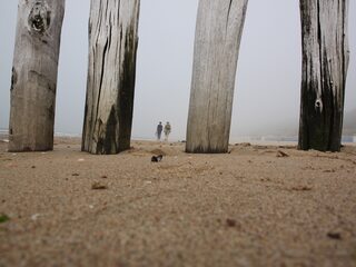 Alles over de tocht langs het Watersnoodpad