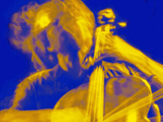 Donderdag 29 oktober 14:00uur: De Martijn Padding Show!