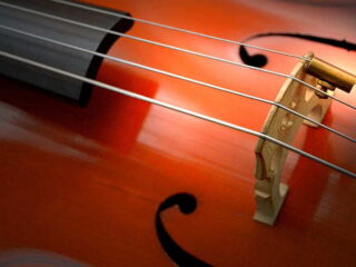 Violen en cello's met vijf snaren. Waarom niet?