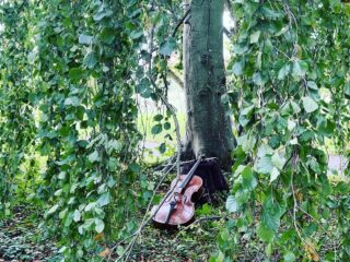 Cellist geeft hout terug aan de natuur