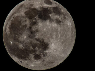 Beluister de complete Canto Ostinato in De Nacht