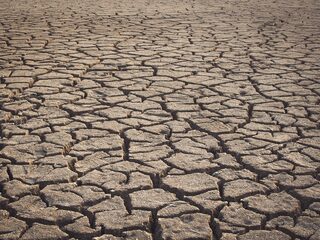 Klimaatweek - orkesten in gesprek over de toekomst
