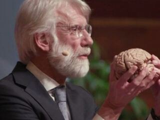 College: muziek en het brein