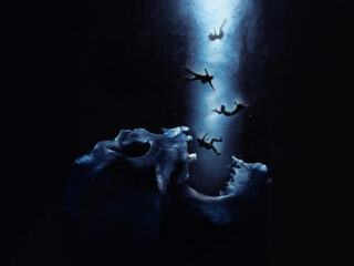 Tim Wynn scoort ‘Final Destination: Bloodlines’