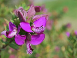 De Vier Jaargetijden in Ypenburg dag 5: zonsopkomst, een thuisconcert en een verfrissende duik!