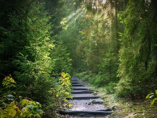 Beluister de podcast: Het pad van Pärt