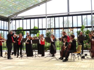 Klankreis: meekijken bij de Apollo Zomeracademie