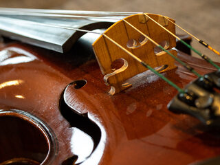 MEESPEELOPNAMES BEETHOVENS ALLEGRETTO - ALTVIOOL