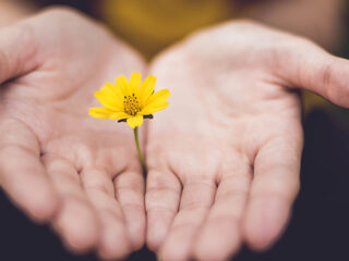 3 bijzondere muzikale momenten uit de Matthäus-Passion