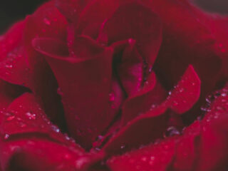 Topstukken: Stabat Mater van Pergolesi