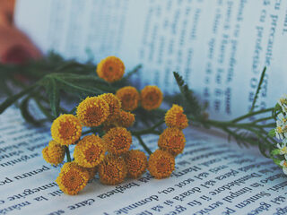 Wat betekent de tekst van Erbarme dich?