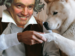 Deze 5 klassieke stukken zijn perfect voor dierendag