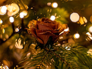 Combattimento speelt Corelli's Christmas Concerto