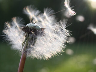 Speellijst: de mooiste Passiemuziek