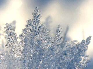 Manfredinis 'Concerto pastorale per il Santissimo Natale' door Musica Amphion