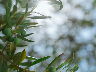 3 Matthäus-alternatieven die je echt moet horen