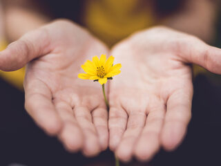 3 bijzondere muzikale momenten uit de Matthäus-Passion