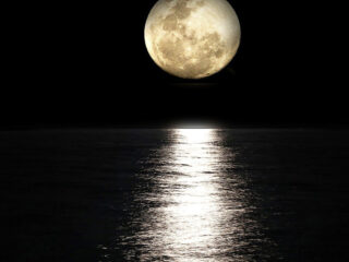 Waarom Beethovens Mondscheinsonate niet over de maan gaat