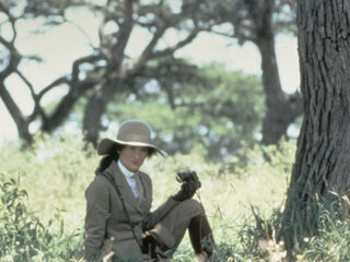 Films in Concert door het Metropole Orkest