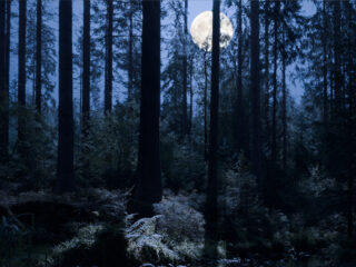 Topstukken: Verklärte Nacht van Schönberg